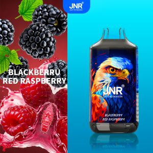 Blackberry Red Raspberry - JNR Falcon 16000 Puffs
