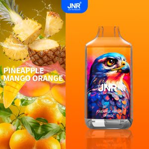 Pineapple Mango Orange - JNR Falcon 16000 Puffs