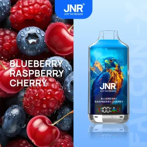 Blueberry Raspberry Cherry - JNR Falcon-X 18000 Puffs