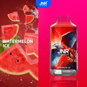 Watermelon Ice - JNR Falcon 16000 Puffs