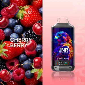 Cherry Berry - JNR Falcon-X 18000 Puffs