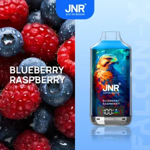 Blueberry Raspberry - JNR Falcon-X 18000 Puffs