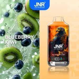 Blueberry Kiwi - JNR Falcon-X 18000 Puffs
