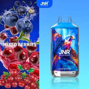 Mixed Berries Fn28 - JNR Falcon 16000 Puffs