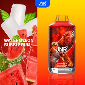 Watermelon Bubblegum Fn29 - JNR Falcon 16000 Puffs
