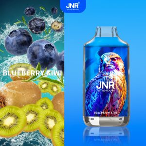 Blueberry Kiwi Fn32 - JNR Falcon 16000 Puffs