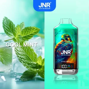 Cool Mint - JNR Falcon-X 18000 Puffs