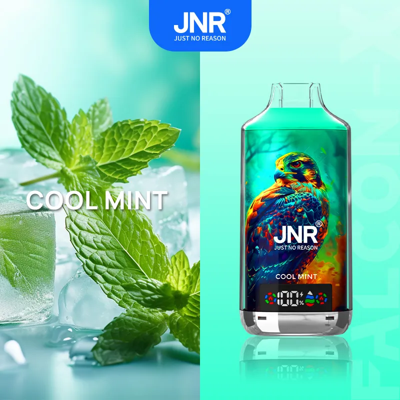 Cool Mint - JNR Falcon-X 18000 Puffs