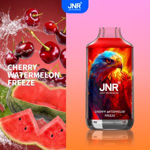Fn34 Cherry Watermelon Freeze - JNR Falcon 16000 Puffs