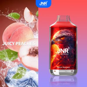 Fn36 Juicy Peaches - JNR Falcon 16000 Puffs