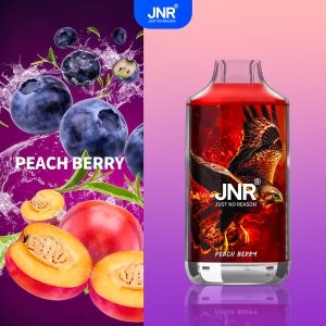 Peach Berry - JNR Falcon 16000 Puffs
