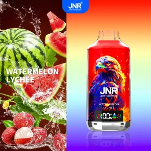 Watermelon Lychee - JNR Falcon-X 18000 Puffs