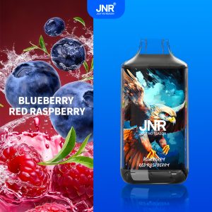 Blueberry Red Raspberry - JNR Falcon 16000 Puffs