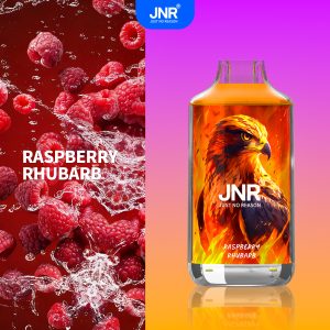 Fn49 Raspberry Rhubarb - JNR Falcon 16000 Puffs