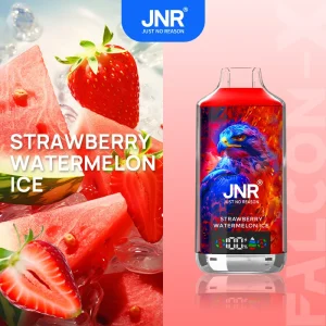 Strawberry Watermelon Ice - JNR Falcon-X 18000 Puffs