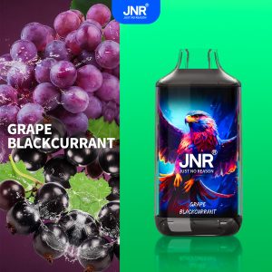 Grape Blackcurrant Fn06 - JNR Falcon 16000 Puffs